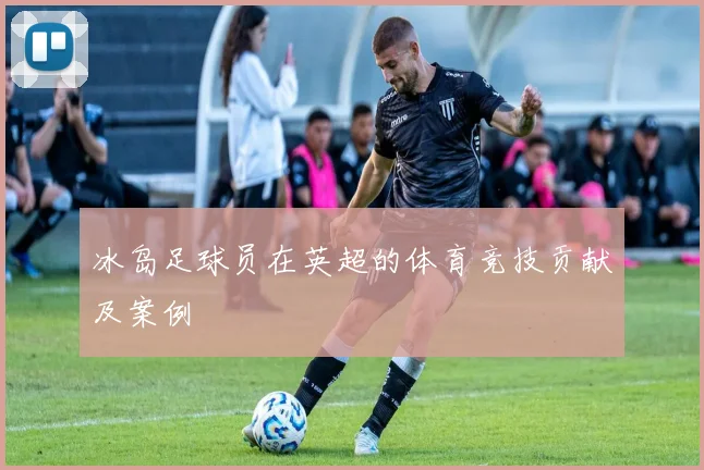 冰岛足球员在英超的体育竞技贡献及案例