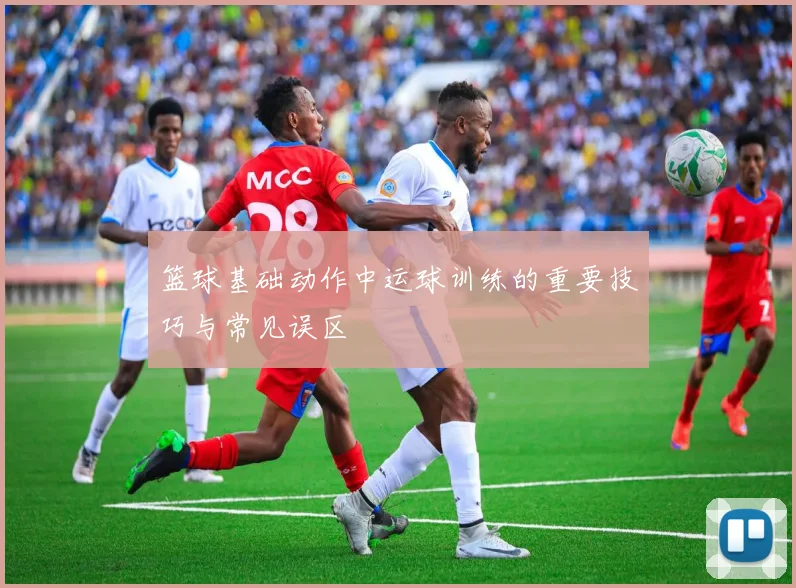 篮球基础动作中运球训练的重要技巧与常见误区
