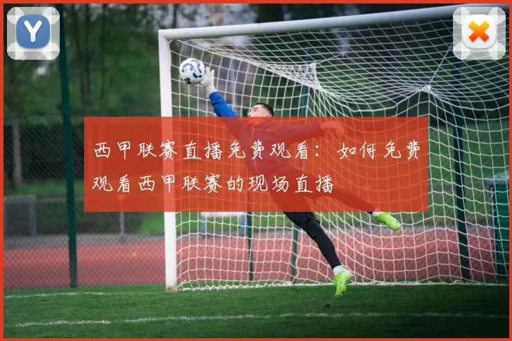 西甲联赛直播免费观看:如何免费观看西甲联赛的现场直播