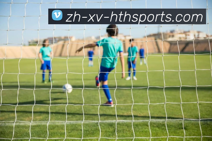 华体会登录入口发展历程